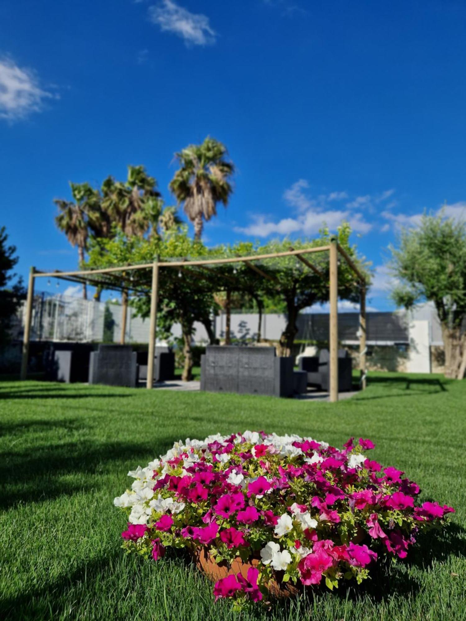 Corte D'Aniello Scafati Εξωτερικό φωτογραφία